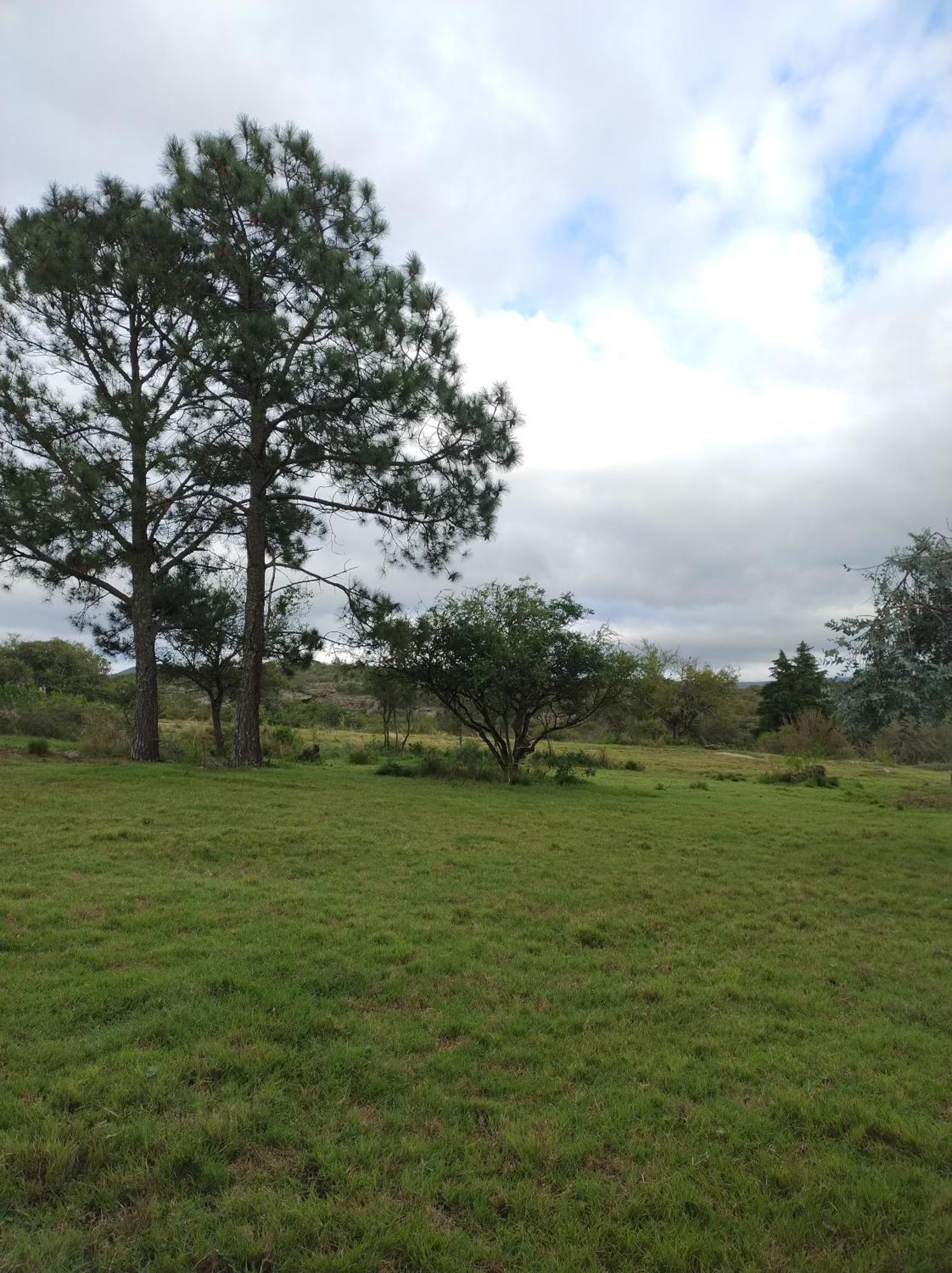 Sens Ecorefugio Campsite