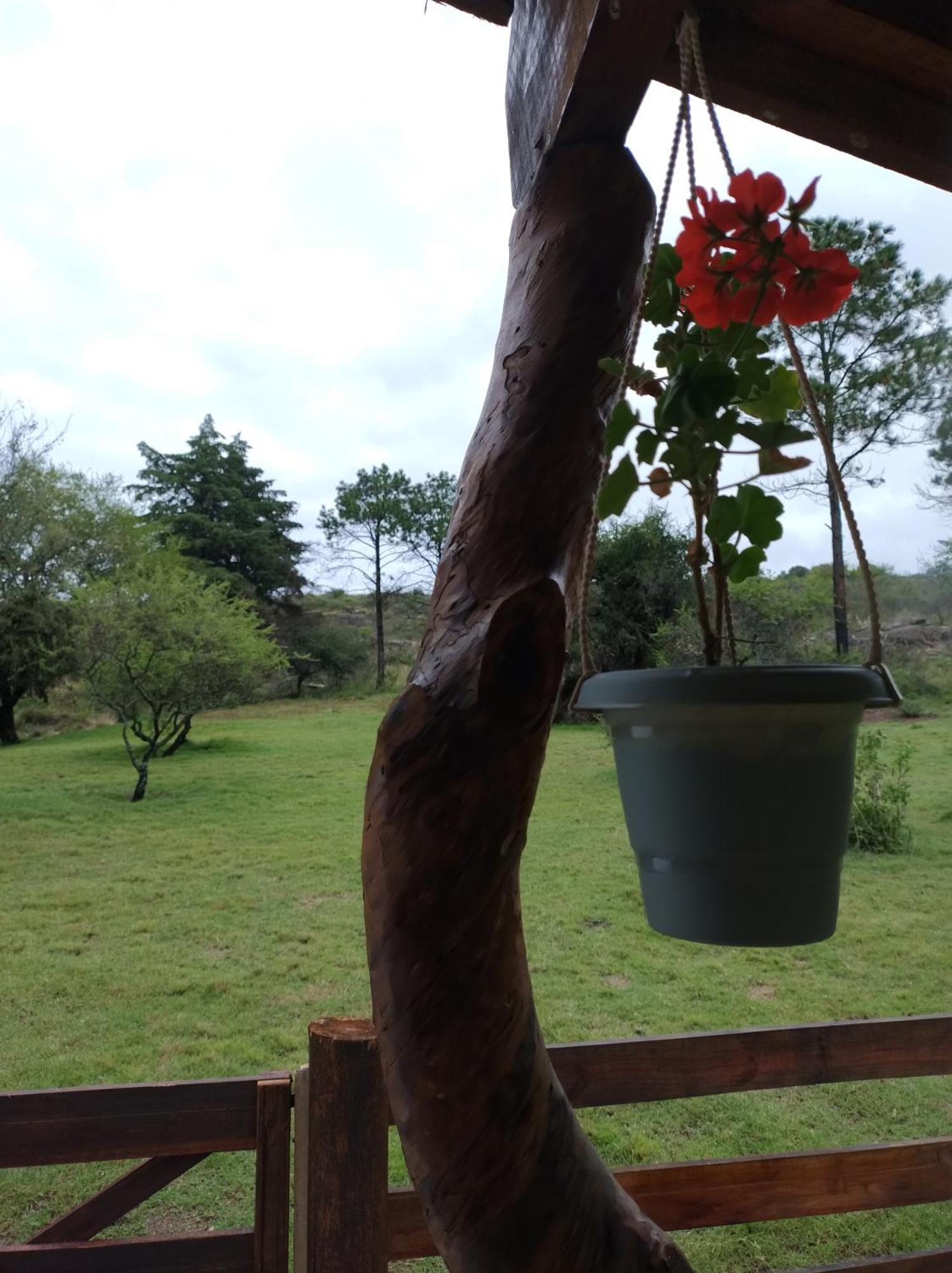 Campsite Sens Ecorefugio
